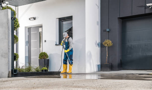 Best Sidewalk and Walkway Cleaning  in Mclean, VA